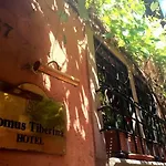 Domus Tiberina 2*