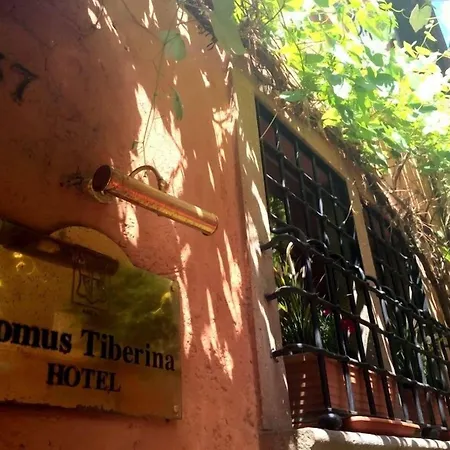 Domus Tiberina 2*