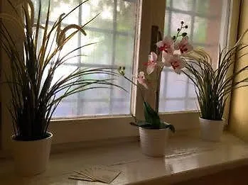 Hotel Domus Tiberina 2*