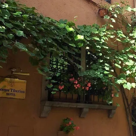 Hotel Domus Tiberina 2*