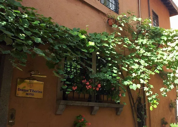 Domus Tiberina 2*